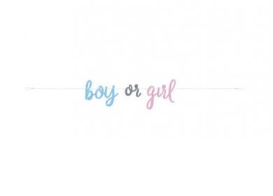 Boy or Girl Garland (213cm)